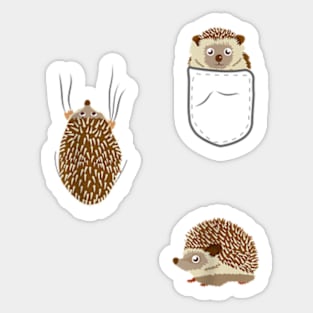 Pocket Animal Hedgehogs Clothes Outfit Art Gift Hedgehog Sticker